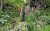 Cottage garden border flowers including Lupins and foxgloves July