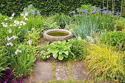 Border_of_mixed_herbaceous_perennials_in_oustanding_country_garden