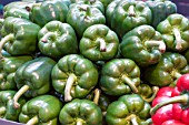SWEET GREEN PEPPERS