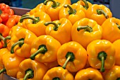 YELLOW SWEET PEPPERS