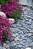 SLATE PATH EDGED WITH DIANTHUS