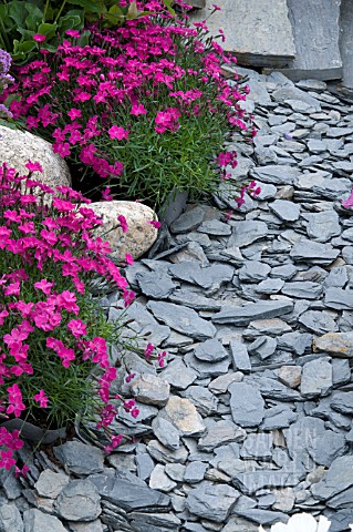 SLATE_PATH_EDGED_WITH_DIANTHUS