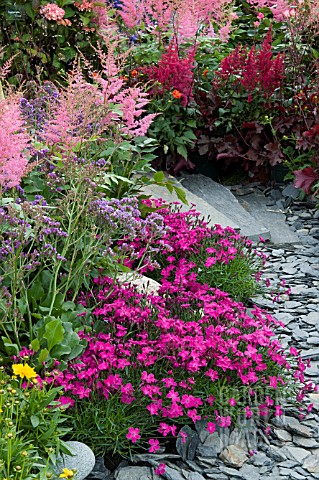 PINK_AND_RED_BORDER__ASTILBES_AND_DIANTHUS