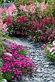 SLATE PATH EDGED WITH DIANTHUS, COSMOS AND ASTILBES