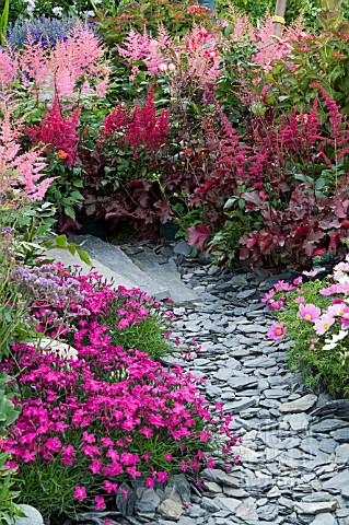 SLATE_PATH_EDGED_WITH_DIANTHUS_COSMOS_AND_ASTILBES