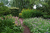 APPLETERN GARDENS THE NETHERLANDS  GROUND COVER WITH ASTILBE AND GERANIUMS