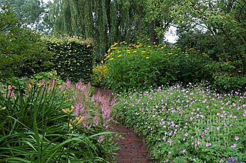 APPLETERN_GARDENS_THE_NETHERLANDS__GROUND_COVER_WITH_ASTILBE_AND_GERANIUMS