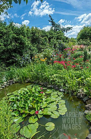 GARDEN_POND_WITH_WATER_LILY_SURROUNDED_WITH_PERENNIALS_AND_ROSES