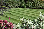 LAWN WITH STRIPES