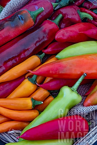 MIXED_PEPPERS