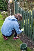 PAINTING PICKET FENCE