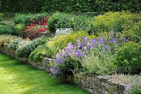 PERENNIAL_GARDEN_WITH_DRY_STONE_WALL