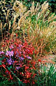 MIXED PLANTING BORDER WITH GRASSES AT BADGERS,  SUSSEX,  TOM AND ANN MOUNT