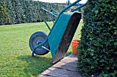 PLASTIC WHEELBARROW TIPPED OVER AND RESTING AGAINST A YEW HEDGE