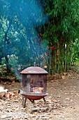 WOOD BURNING STOVE IN GARDEN (FROST PROTECTION)