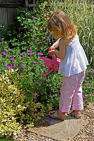 CHILD_WATERING_PLANTS_WITH_A_WATERING_CAN__SURREY_LATE_JUNE