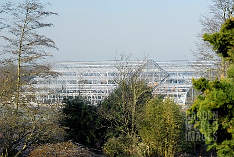 VIEW_OF_BICENTENARY_GLASSHOUSE_DUE_TO_BE_OPENED_TO_THE_PUBLIC_IN_SUMMER_2007__RHS_WISLEY_FEBRUARY_20