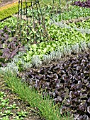 HERB AND VEGETABLE DISPLAY BEDS