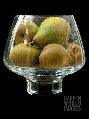 PEARS_IN_GLASS_BOWL_PYRUS_COMMUNIS