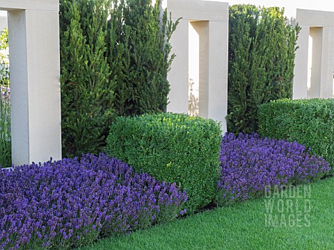 TOPIARY_WITH_SQUARES_AND_CUBES_ON_THE_JUST_RETIREMENT_GARDEN_DESIGNED_BY_JACK_DUNCKLEY