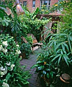 URBAN JUNGLE GARDEN