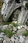 NATURAL DRIFTWOOD SCULPTURE