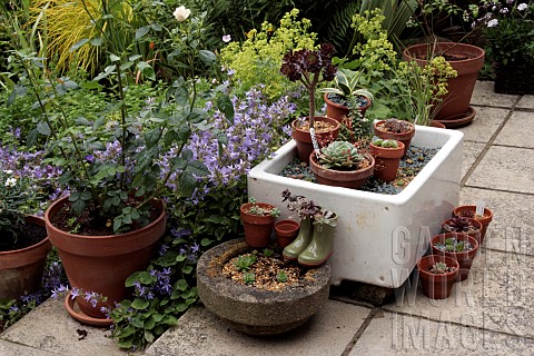 PATIO_BUTLER_SINK_VARIOUS_PLANTED_CONTAINERS