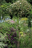 MIXED BORDERS WITH CENTRAL PAVED PATH