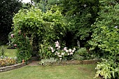 PERGOLA WITH CLIMBERS