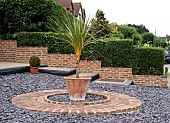 CORDYLINE IN CONTAINER, FRONT GARDEN