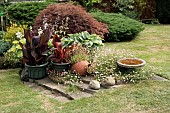 POTS AND ORNAMENTS GROUPED, BIRD BATH, HOSTAS, ACER, ERIGERON KARVINSKIANUS