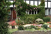 WHITE SCREE FRONT GARDEN