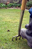 AERATING A LAWN