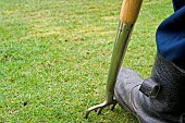 AERATING A LAWN