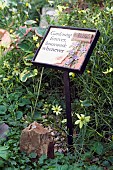 GARDEN SIGN, GARDENING FOREVER, HOUSEWORK WHENEVER