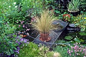 GARDEN POND, STIPA TENUISSIMA, THRIFT, CAMPANULA