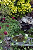 POND, WATERFALL, BIRD BATH, BRIDGE