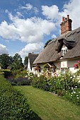 COTTAGE GARDEN, HERTFORDSHIRE