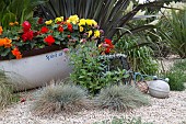 BOAT PLANTED WITH BEGONIA, MULLION, CORNWALL