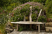 ERIGERON GLAUCUS, ELSTEAD PINK, DRIFTWOOD GARDEN SEAT ON DECKING