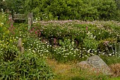 COASTAL GARDEN