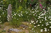 COASTAL GARDEN