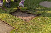 TRIMMING LAWN EDGING AROUND PAVING STONE PATH WITH HALF MOON STEP EDGER TOOL