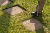 TRIMMING LAWN EDGING AROUND PAVING STONE PATH WITH HALF MOON STEP EDGER TOOL