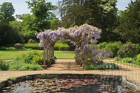 LILY_POND_FLANKED_BY_TWO_OAK_ARBOURS_CLAD_IN_WISTERIA_HYLANDS_PARK_ESSEX