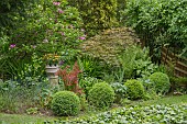 GARDEN VIEW AT COPPED HALL, INCLUDING VIOLA OR PANSY, MAGNOLIA, ACER, BERBERIS, CLIPPED BOX BALLS