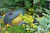 OORNAMENTAL FROG SURROUNDED BY SOLEIROLIA SOLEIROLII (MIND YOUR OWN BUSINESS), LYSIMACHIA NUMMULARIA (CREEPING JENNY), STACHYS SILVER CARPET,