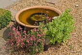 GARDEN VIEW, WATER FEATURE, NGS OPEN DAY, HATCH ROAD, BRENTWOOD, ESSEX