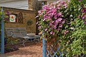 GARDEN VIEW, CLEMATIS, NGS OPEN DAY, HATCH ROAD, BRENTWOOD, ESSEX