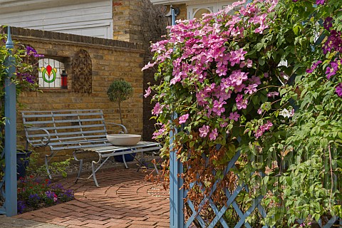GARDEN_VIEW_CLEMATIS_NGS_OPEN_DAY_HATCH_ROAD_BRENTWOOD_ESSEX